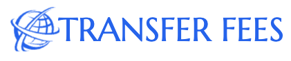 TransferFees.io Logo
